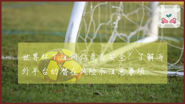 世界杯下注网站是否安全？了解海外平台的潜在风险和注意事项