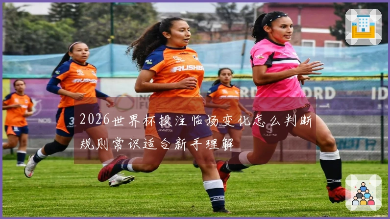2026世界杯投注临场变化怎么判断规则常识适合新手理解