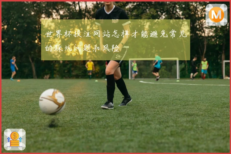 世界杯投注网站怎样才能避免常见的踩坑问题和风险