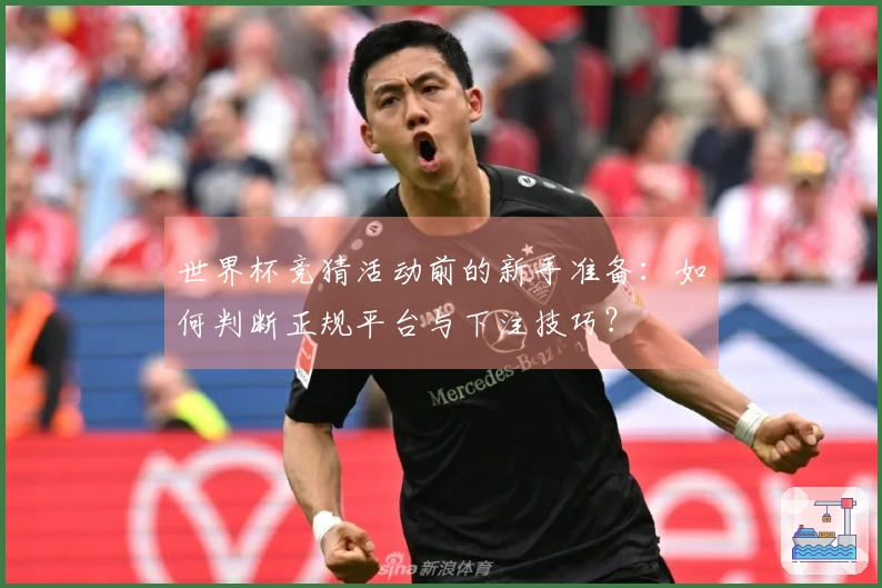 世界杯竞猜活动前的新手准备：如何判断正规平台与下注技巧？