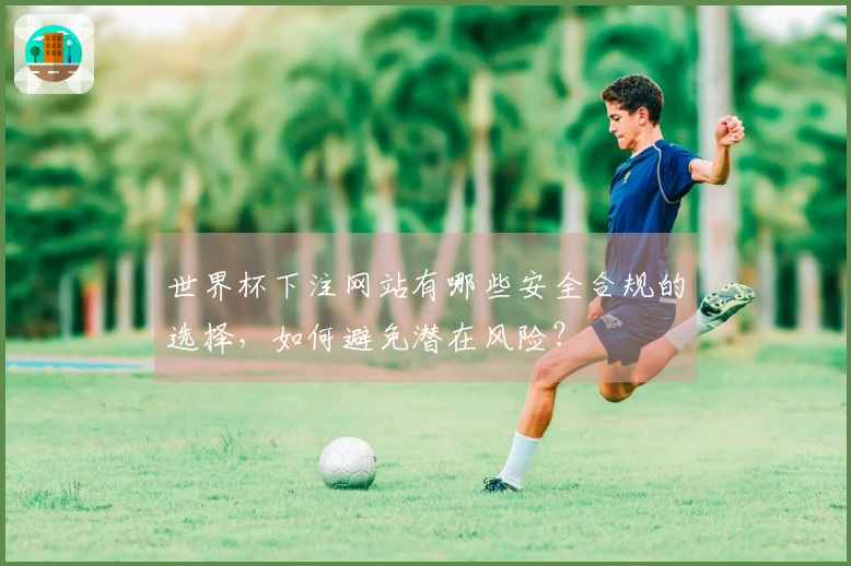 世界杯下注网站有哪些安全合规的选择，如何避免潜在风险？
