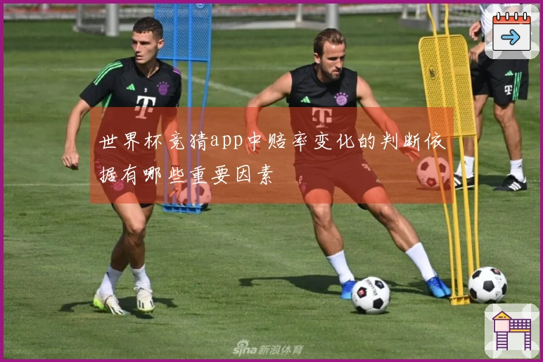 世界杯竞猜app中赔率变化的判断依据有哪些重要因素