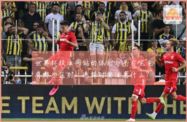 世界杯投注网站的体彩与平台究竟有哪些区别，选择时要注意什么？