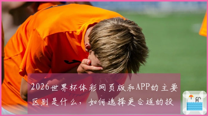 2026世界杯体彩网页版和APP的主要区别是什么，如何选择更合适的投注方式？