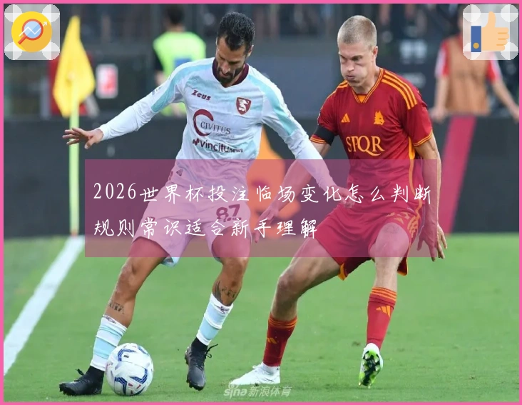 2026世界杯投注临场变化怎么判断规则常识适合新手理解