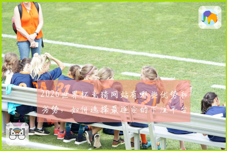 2026世界杯竞猜网站有哪些优势和劣势，如何选择最适合的下注平台？