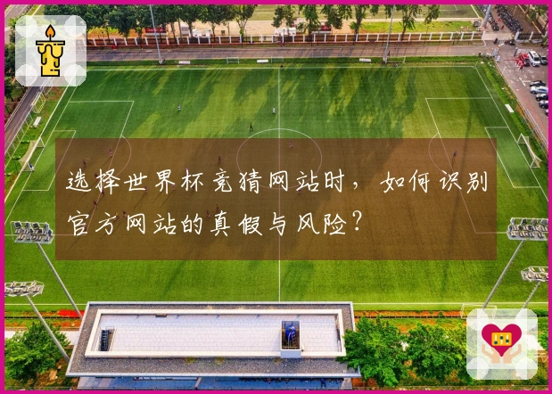 选择世界杯竞猜网站时，如何识别官方网站的真假与风险？