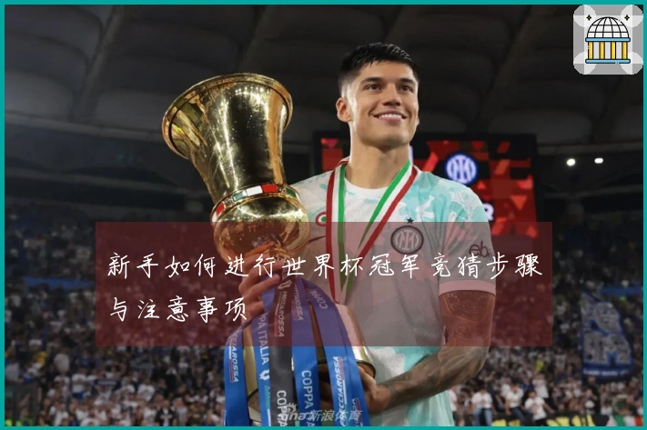 新手如何进行世界杯冠军竞猜步骤与注意事项