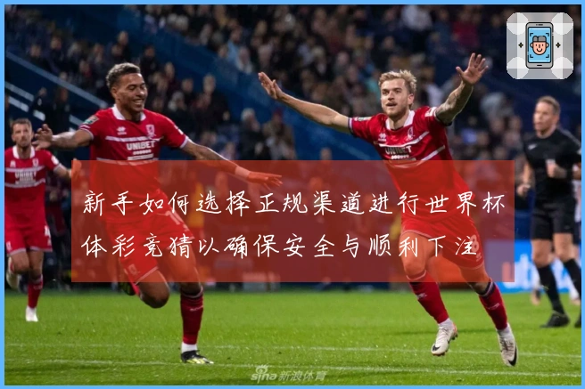 新手如何选择正规渠道进行世界杯体彩竞猜以确保安全与顺利下注
