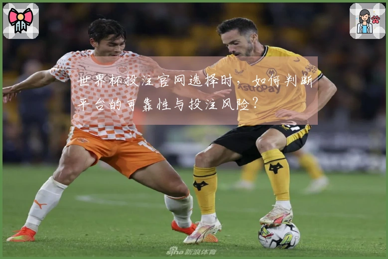 世界杯投注官网选择时，如何判断平台的可靠性与投注风险？