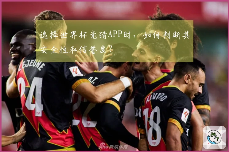 选择世界杯竞猜APP时，如何判断其安全性和信誉度？
