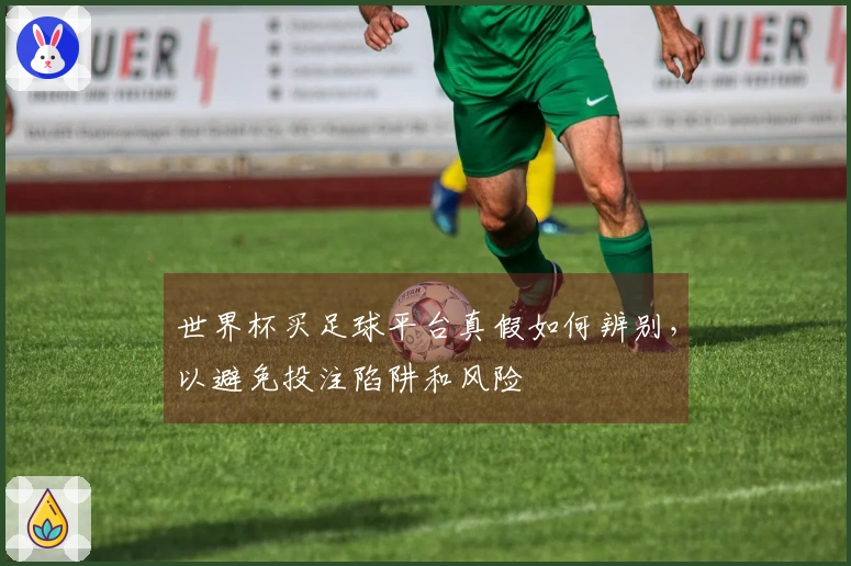 世界杯买足球平台真假如何辨别，以避免投注陷阱和风险