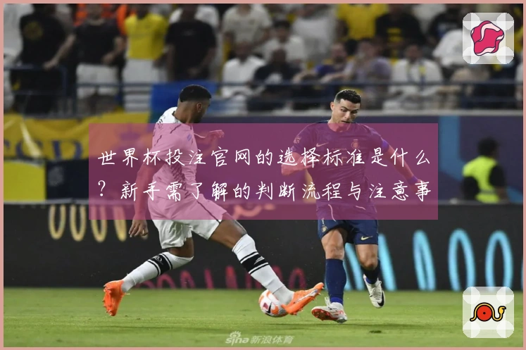 世界杯投注官网的选择标准是什么?新手需了解的判断流程与注意事项