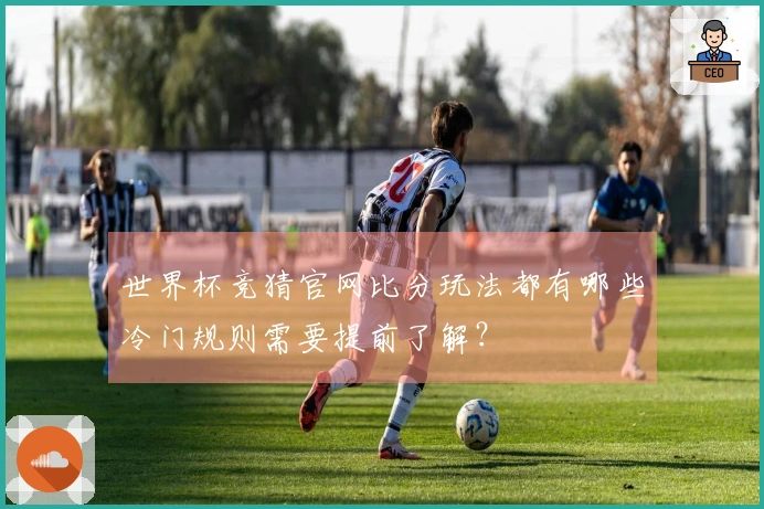世界杯竞猜官网比分玩法都有哪些冷门规则需要提前了解？