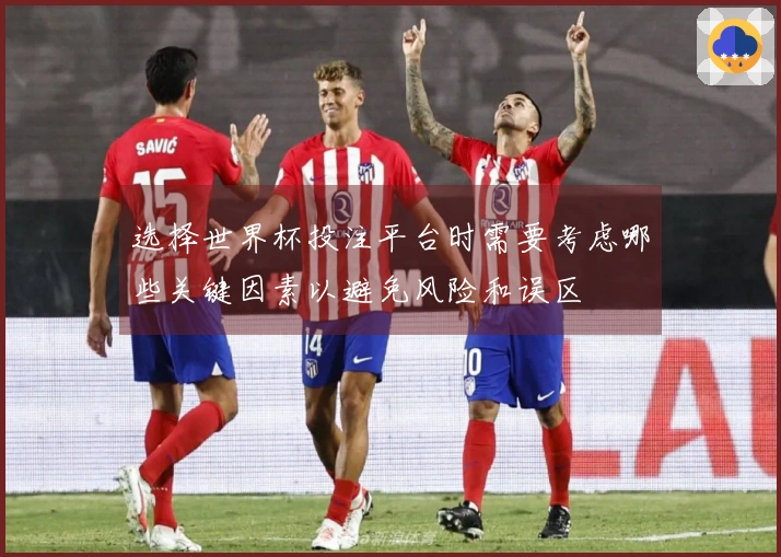 选择世界杯投注平台时需要考虑哪些关键因素以避免风险和误区
