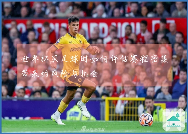 世界杯买足球时如何评估赛程密集带来的风险与机会