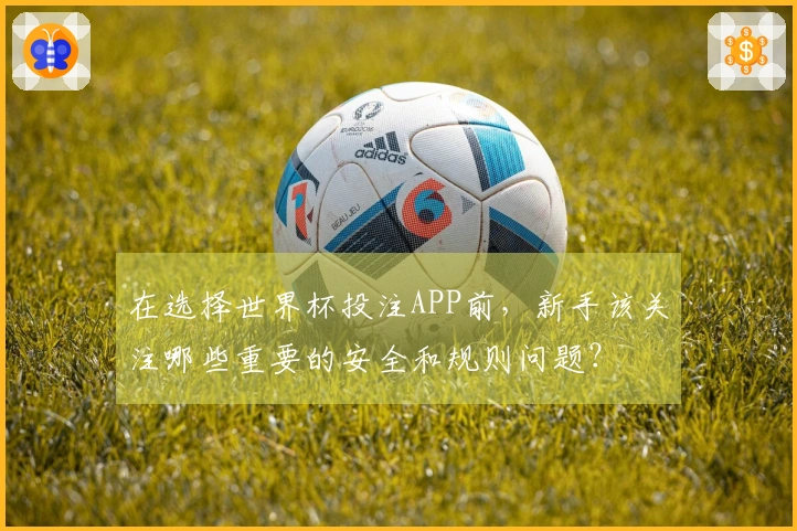 在选择世界杯投注APP前，新手该关注哪些重要的安全和规则问题？